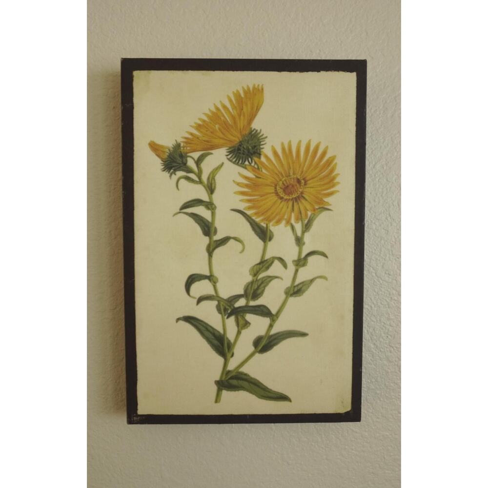 Vintage Grindelia Grandiflora Canvas Wall Decor